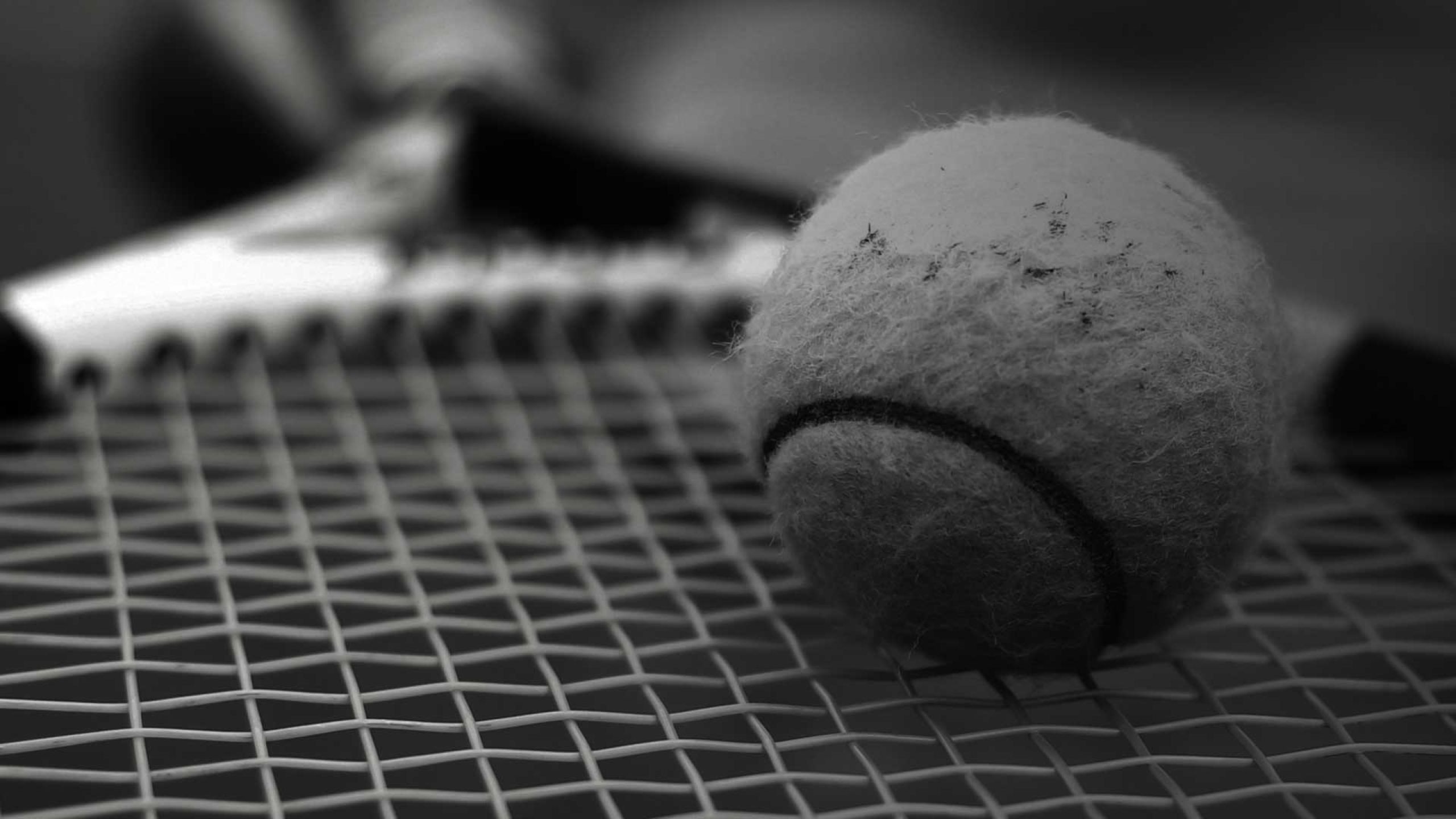 Your Tennis Experts In Ball Machines & Stringing Machines.